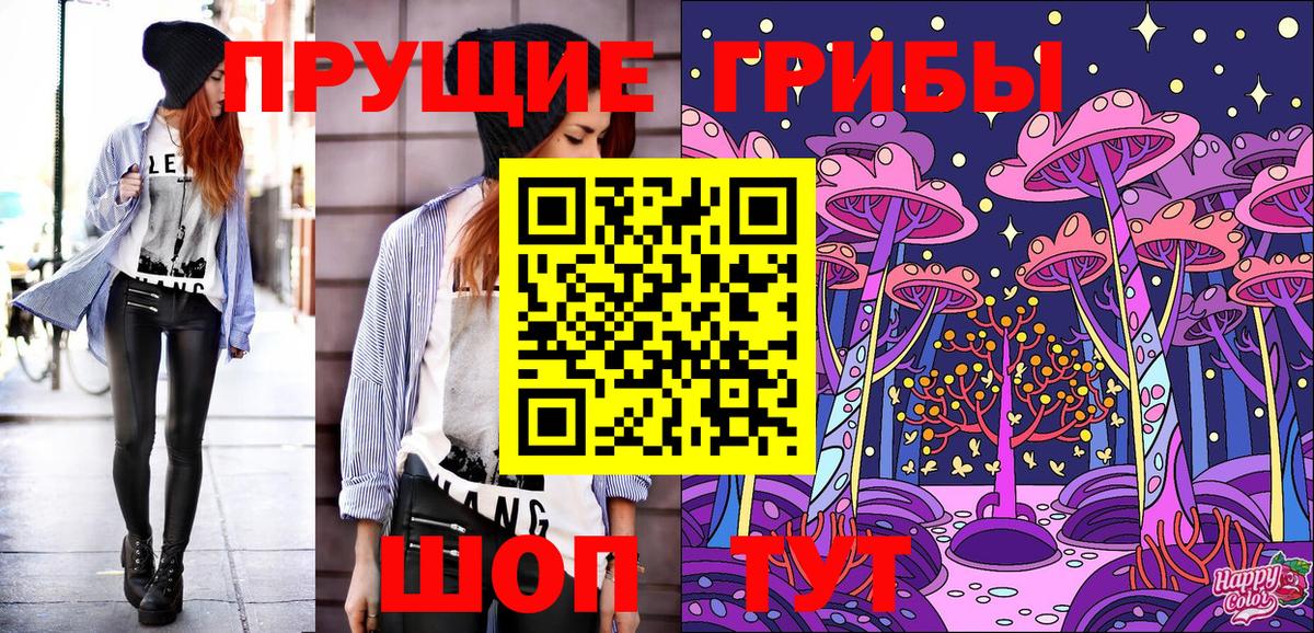 Ухта  Псилоцибиновые грибы Psilocybine cubensis  Вход с VPN 