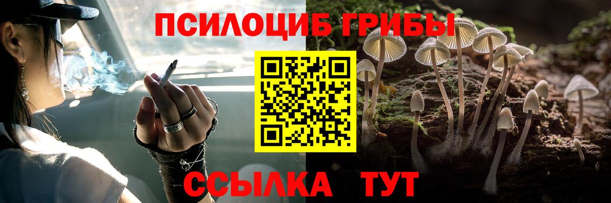 Псилоцибиновые грибы мухоморы Ухта
